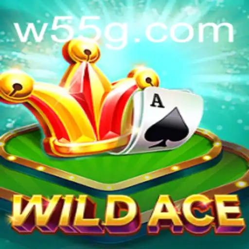 Exploring WildAce: The New Sensation in Gaming